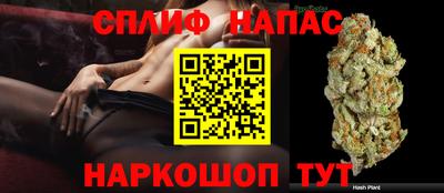 ECSTASY Краснознаменск