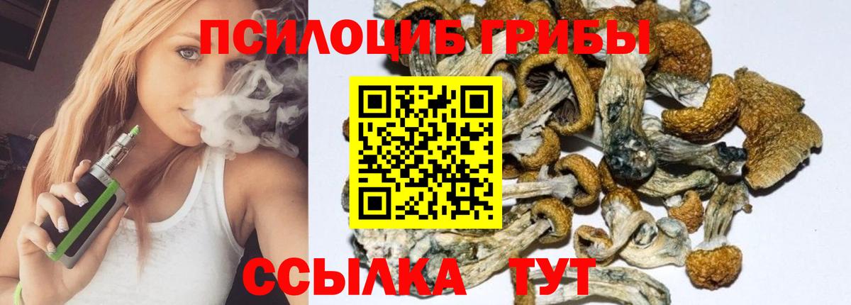 Галлюциногенные грибы Psilocybine cubensis Карпинск